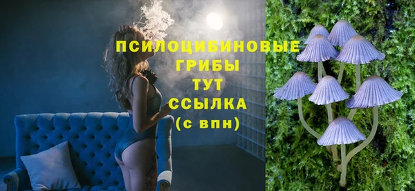 apvp Алексеевка